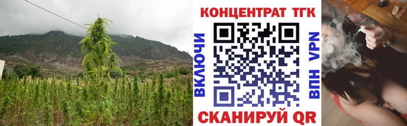 ТГК жижа  Щучье 
